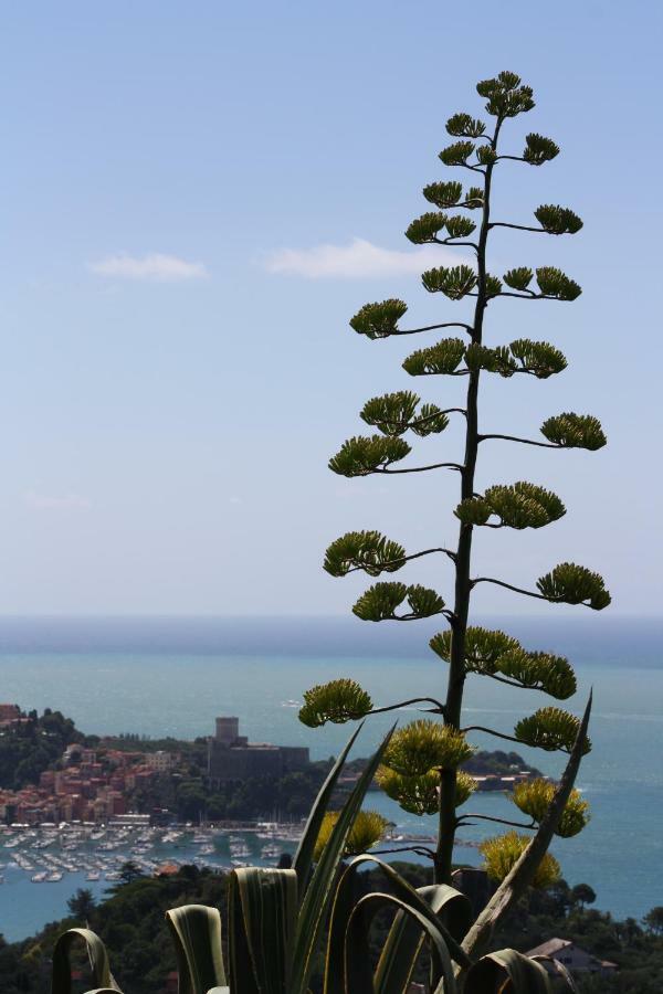 Agave Di Lerici Villa Bagian luar foto