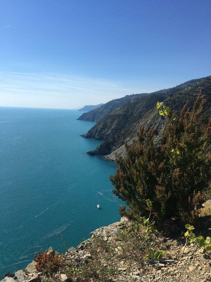 Agave Di Lerici Villa Bagian luar foto