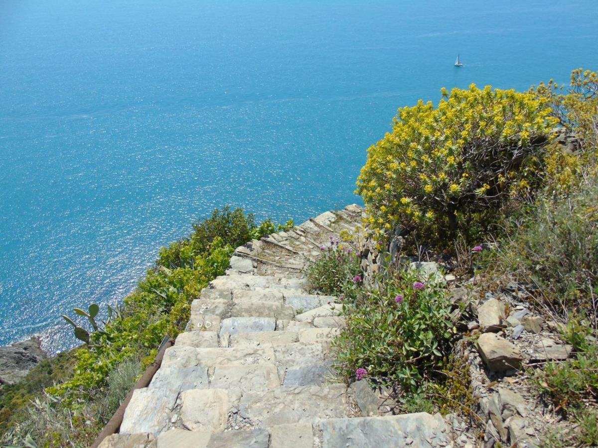 Agave Di Lerici Villa Bagian luar foto