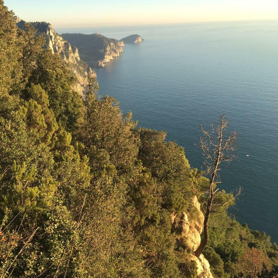 Agave Di Lerici Villa Bagian luar foto